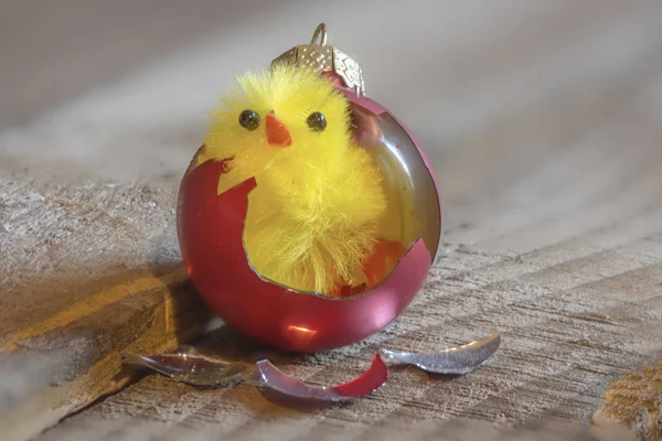 Paskalya tavuk atış kapatın