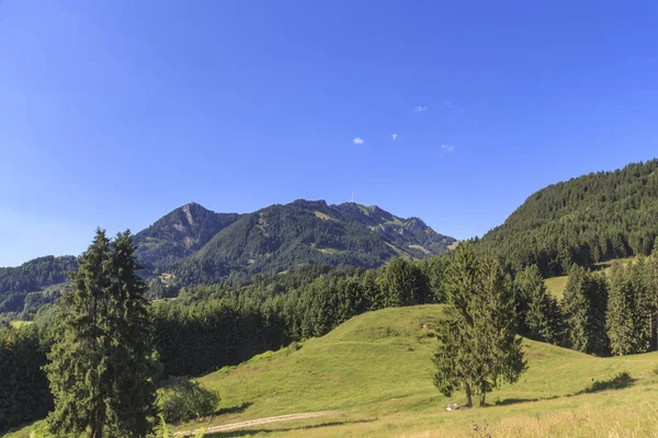 Vista Sobre Montañas Árboles Verano — Foto de Stock