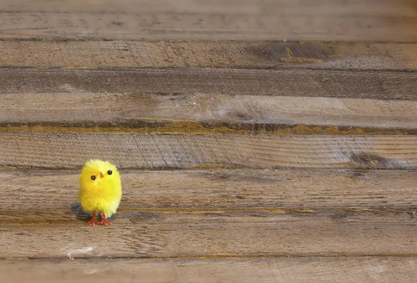 Paskalya tavuk atış kapatın