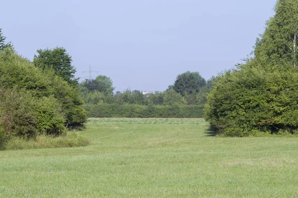 Muhteşem kırsal doğa manzara 