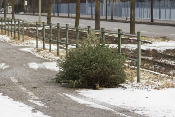 Yolda Noel ağacı, seçici odak