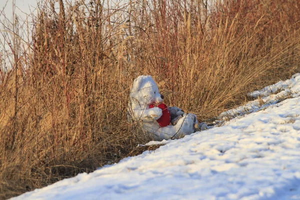 Dwie Miękkie Zabawki Leżące Trawie Poboczu Drogi — Zdjęcie stockowe