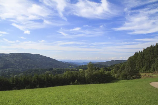 Muhteşem kırsal doğa manzara 