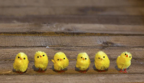 Paskalya tavuk atış kapatın