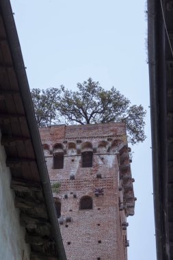 Dar yan sokakta Lucca'daki İtalyan şehir, Toskana bölgesindeki eski evin cephe ve kule Guinigi
