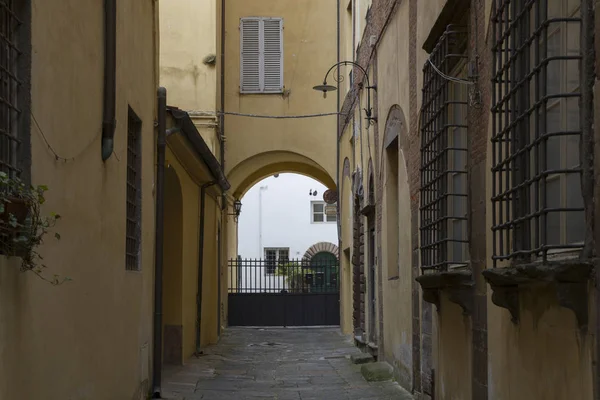 Rua Lateral Estreita Cidade Italiana Lucca Toscana Com Fachadas Casas — Fotografia de Stock
