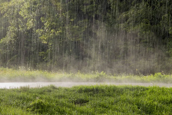 Chuva Forte Cai Uma Estrada Qual Névoa Sobe — Fotografia de Stock