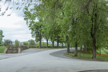 Park Lucca İtalyan şehir Pisa bölgedeki tarihi yürünebilir şehir duvar