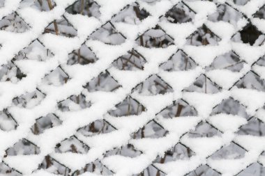 Tamamen büyümüş moss ile zincir bağlantı çit