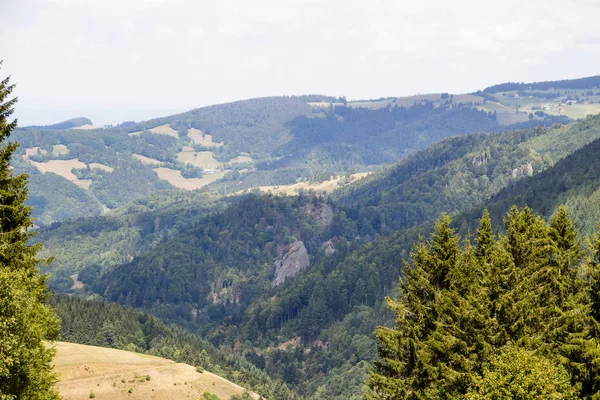 Pohled Hory Belchen Černém Lese Nad Mnstertal Směrem Rhein Úrovně — Stock fotografie