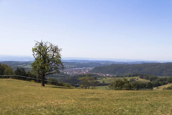 Alpler üzerinden Schweigmatt Kara Orman Panorama