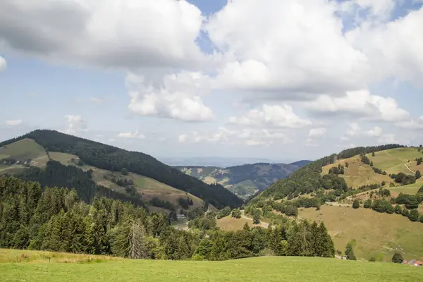 Вид Гори Belchen Чорному Лісі Над Mnstertal Напрямку Rhein Рівень — стокове фото