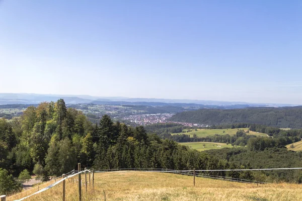 Panorama Schweigmatt Selva Negra Los Alpes — Foto de Stock