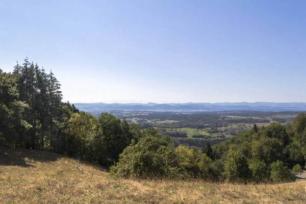 Panorama Schweigmatt Selva Negra Los Alpes — Foto de Stock