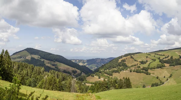 Вид Гори Belchen Чорному Лісі Над Mnstertal Напрямку Rhein Рівень — стокове фото