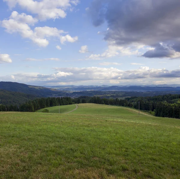 Panorama Sweigmatt Floresta Negra Sobre Cidade Wehr Para Alpes — Fotografia de Stock