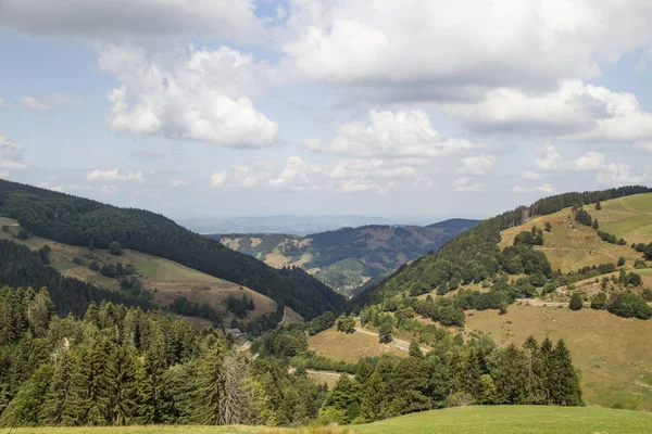 Вид Гори Belchen Чорному Лісі Над Mnstertal Напрямку Rhein Рівень — стокове фото