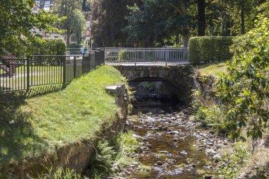 Demir demiryoluna Sankt Blasien kara orman içinde bir dere ile Köprü