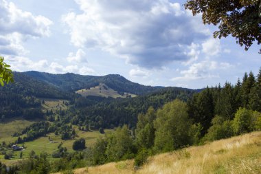Menzenschwand Kara Orman Köyü yakınlarında Vadisi üzerinde göster