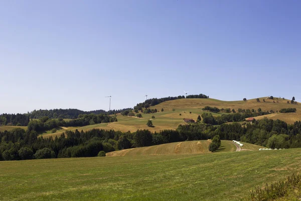 Panorama Von Gersbach Schwarzwald Bis Den Alpen — Stockfoto