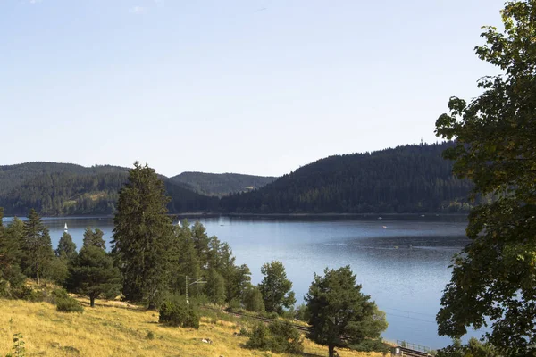 Δείτε Πέρα Από Δεξαμενή Όνομα Schluchsee Στον Μέλανα Δρυμό — Φωτογραφία Αρχείου