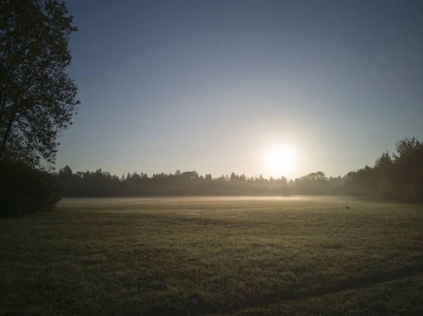 Sonnenaufgang Über Nebligen Feldern — Stockfoto