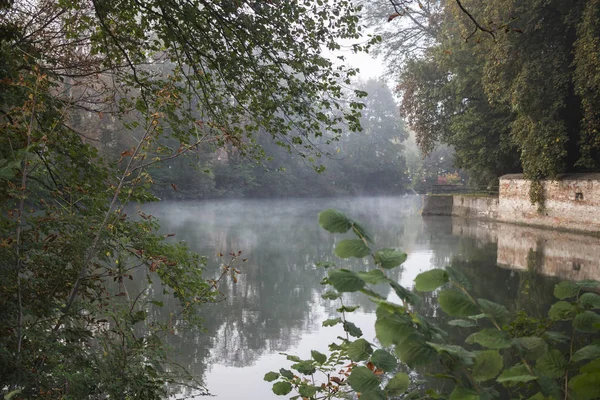 Vacker Utsikt Över Dimma Över Vatten Och Skog Augsburg Tyskland — Stockfoto