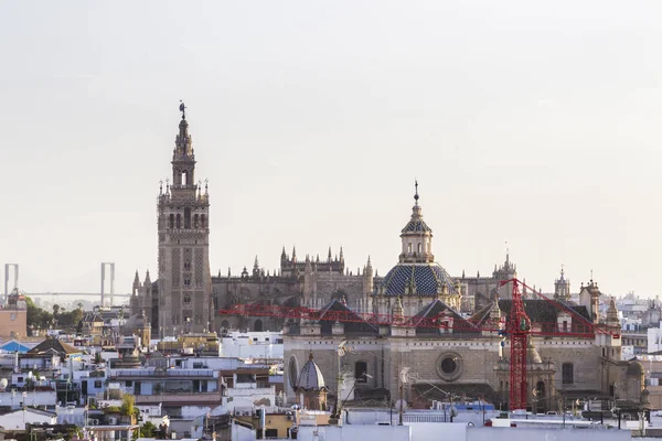 Pohled Přes Střechy Seville Cathedral Španělsko — Stock fotografie