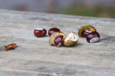 Ahşap tahta üzerinde yalan kestane yakın çekim