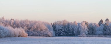 gün batımında kış manzarası doğal görünümünü