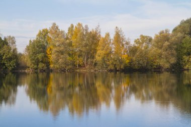 Ilse Gölü ve Knigsbrunn Augsburg yakınındaki ormanda görünümü 