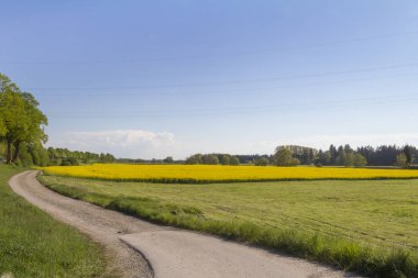 yaz, mavi gökyüzü altında alanının doğal görünümü