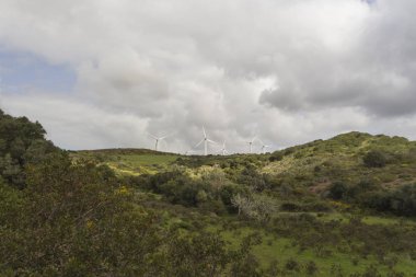 Rüzgar türbinleri kırsal ortamda uzak görünümü