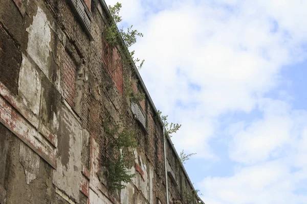 旧废弃建筑的立面景观 — 图库照片