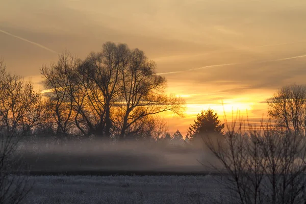 Сценический Вид Восхода Солнца Над Туманным Полем — стоковое фото