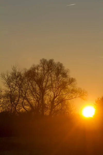 Живописный Вид Восхода Солнца Над Диким Лесом — стоковое фото