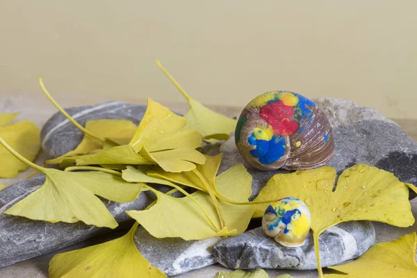 Close Ginkgo Leaves Snail Shells — Stock Photo, Image