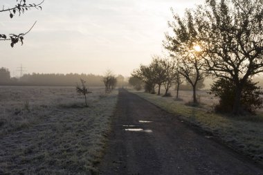 Gün batımında kırsal ortamda toprak yol görünümünü