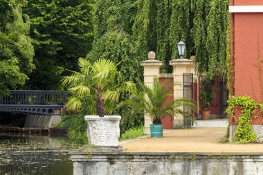 Görünümü ve palmiye ağaçlarının tencere gölet 