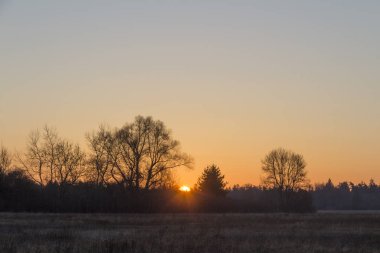 Donuk peyzaj üzerinde parlak gündoğumu görünümünü