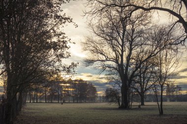 Doğal görünümü alan ve ağaçlar sonbahar, Augsburg