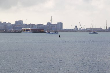 Algeciras Denizi, İspanya Limanı üzerinden görüntülemek