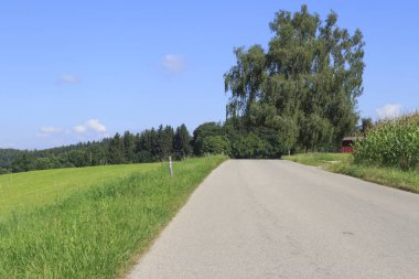 Kırsal yol ve yeşil alan görüntüleme
