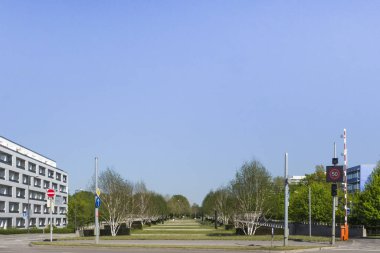 Yaz Park'ta doğal görünümünü