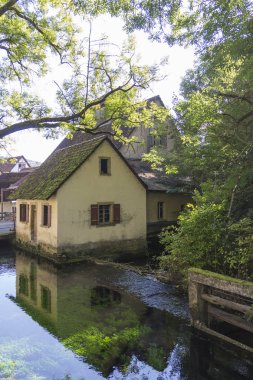 binalar ve ağaçlar yaz, seçici odak