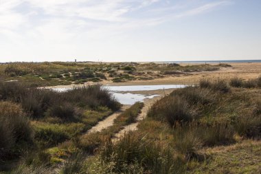 Conil de la Frontera Andalucia içinde İspanyol şehri için plaj görüntüleyin