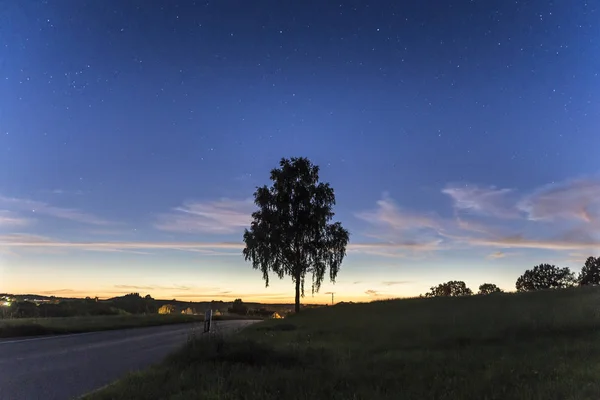 Árbol Independiente Junto Camino Rural Atardecer — Foto de Stock