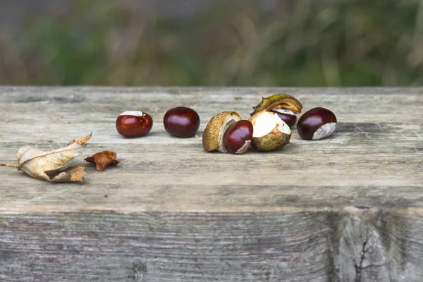 Close Chestnuts Lying Wooden Board — Stock Photo, Image