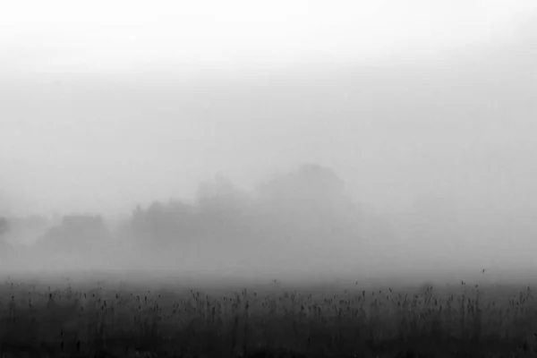 Vue Panoramique Brume Dans Champ Été Crépuscule — Photo