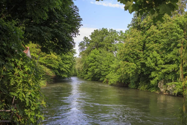 Río Que Fluye Través Medio Del Bosque Verano — Foto de Stock